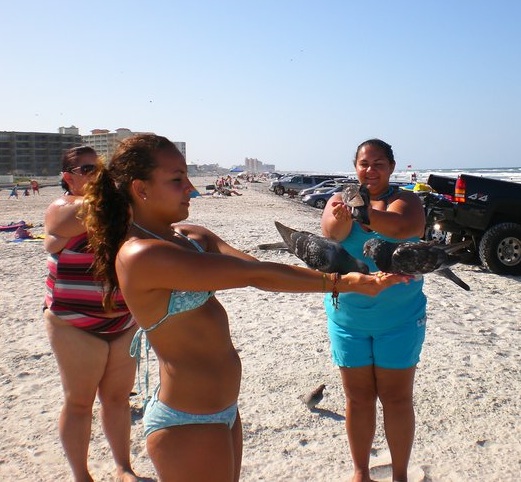 These young gals feed birds on beach of New Smyrna